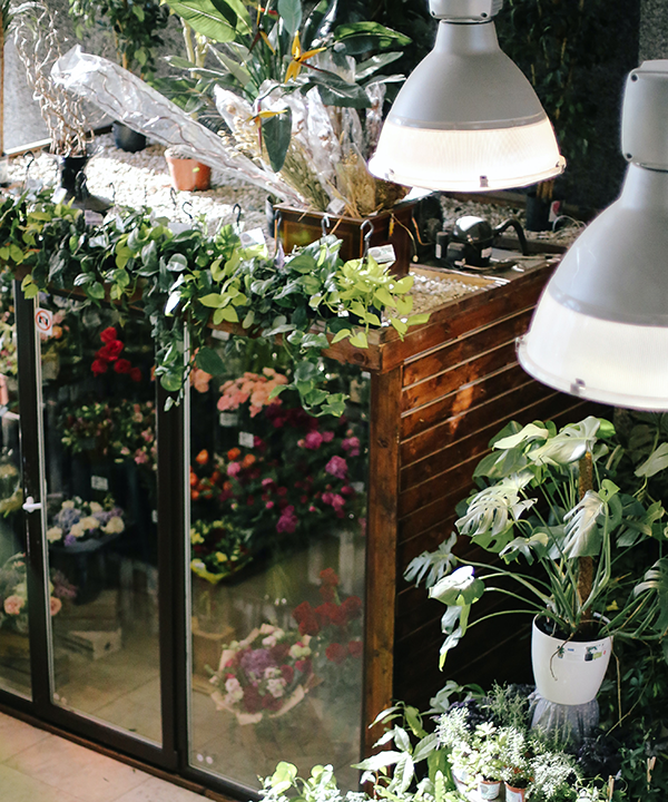 FlowerShop